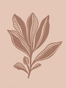 Natürliche botanische Zeichnung von Nikita Jariwala