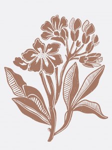 Rustikale Blumenillustration von Nikita Jariwala