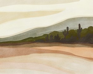 Saguaro-Wüstenhügel