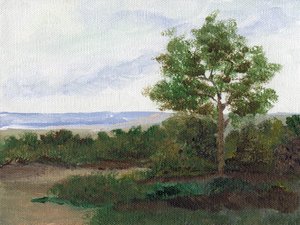 Ruhiger Landweg