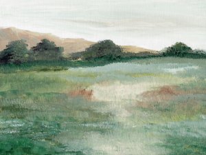 Sanfte Wiesenlandschaft