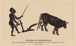 Antiker griechischer Ochsenpflug von Nikosthenes