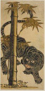 Bambus und Tiger