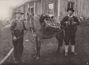 Saetersdalen Hochländer mit Packpferd