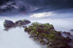 Ätherische moosige Meereslandschaft