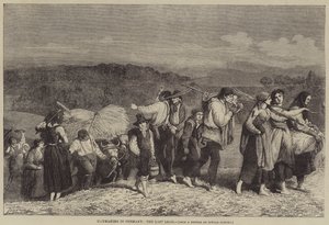 Heuernte in Deutschland, die letzte Ladung von O.A. Sickert