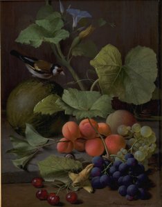 Stillleben mit Früchten und einem Stieglitz von O.D. Ottesen