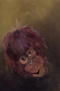 Baby-Orang-Utan 2, 2010 von Odile Kidd