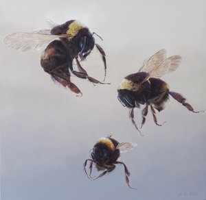 Bombus Flug 1, 2011 von Odile Kidd