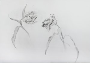 Estella rijnveld 3, 2017 von Odile Kidd