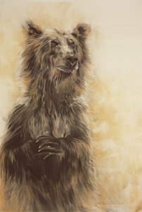 Grizzlybär 1, 2002 von Odile Kidd