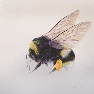 Pollensack 2, 2011 von Odile Kidd