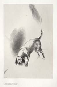 Er fixierte mich mit einem so seltsamen Ausdruck von Odilon Redon