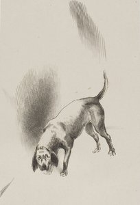 Er [Der Hund des Erzählers] hielt seine Augen mit einem so seltsamen Blick auf mich gerichtet, Platte 3 von 6 von Odilon Redon