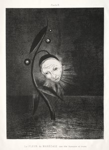 Hommage an Goya: Die Sumpfblume, ein trauriger Menschenkopf, 1885 von Odilon Redon