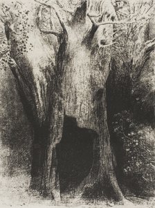 Ich tauchte in die Einsamkeit ein. Ich wohnte im Baum hinter mir, Platte 9 von 24 von Odilon Redon
