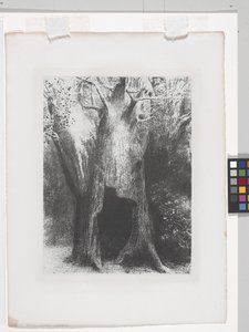 Ich habe mich in die Einsamkeit zurückgezogen von Odilon Redon