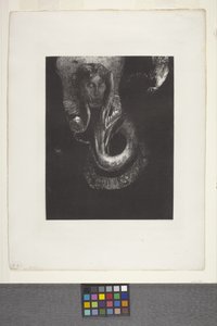 Oannès: "Moi, la première conscience du chaos..." von Odilon Redon