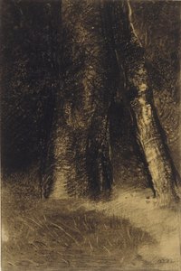 Skizze von Bäumen