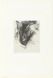 Streitross von Odilon Redon