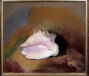 Die Muschel von Odilon Redon