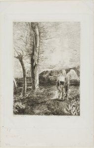 Tobias von Odilon Redon