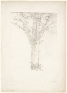 Baum von Odilon Redon