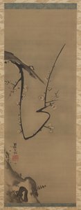 Prunus, Hängerolle, ca. 1700 von Ogata Korin