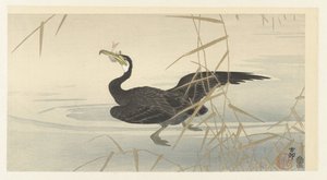 Kormoran mit Fisch von Ohara Koson