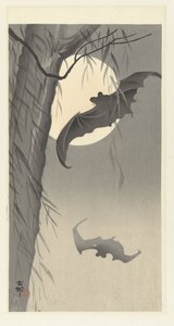 Fledermäuse und Vollmond von Ohara Koson