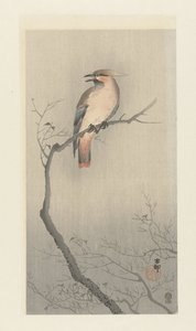 Seidenschwanz auf einem Zweig von Ohara Koson
