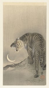 Brüllender Tiger