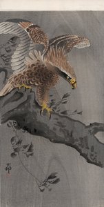 Adler mit ausgebreiteten Flügeln auf Baumstamm