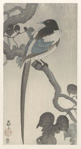 Elster auf Baumzweig von Ohara Koson