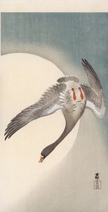 Fliegende Weißwangengans vor dem Mond von Ohara Koson