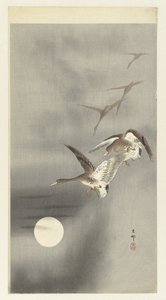 Gänse im Flug