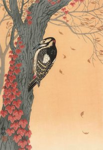 Buntspecht im Baum mit rotem Efeu, 20. Jahrhundert (japanischer Druck) von Ohara Koson