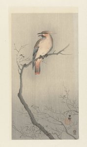 Japanische Seidenschwanz auf Ast von Ohara Koson