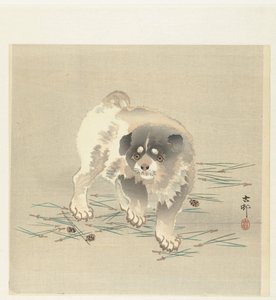 Junger Hund von Ohara Koson