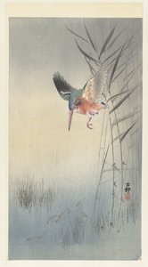 Eisvogel auf Fischfang von Ohara Koson
