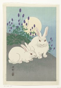 Kaninchen bei Vollmond