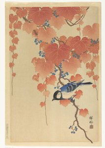 Kohlmeise auf Paulownia-Zweig von Ohara Koson