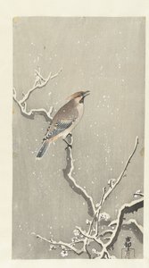 Seidenschwanz auf verschneitem Ast von Ohara Koson