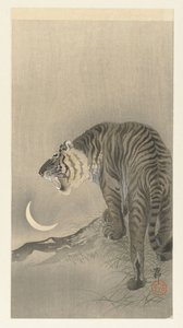 Brüllender Tiger