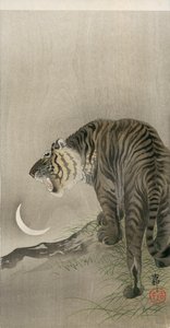 Brüllender Tiger und Halbmond