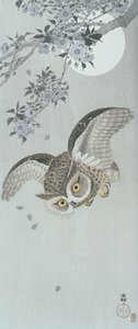 Eule im Flug mit Blüten und Vollmond (Farbholzschnitt) von Ohara Koson