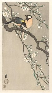 Meisen auf Kirschzweig von Ohara Koson