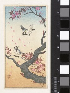 Zwei Kohlmeisen bei blühendem Baum von Ohara Koson