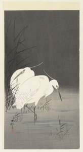 Zwei Silberreiher im Schilf von Ohara Koson