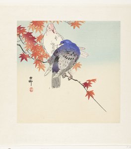 Zwei Tauben auf einem Ast mit Herbstblättern von Ohara Koson